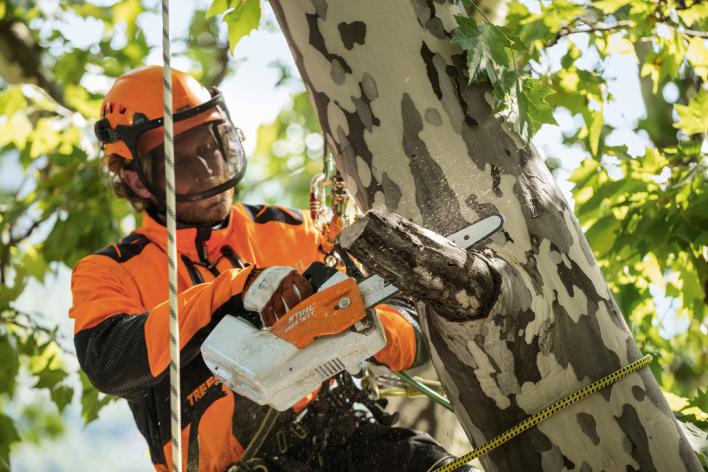 TRONCONNEUSE ELAGUEUSE STIHL MSA161T GUIDE 30 CM