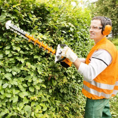 Taille-haies HS56CE-600 - Stihl