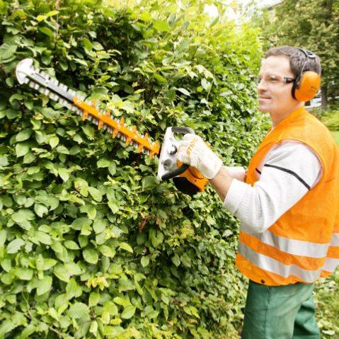 TAILLE HAIES STIHL HS56CE-600