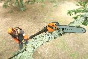 Tronçonneuse sur perche SELION T175-225 EVO - Pellenc