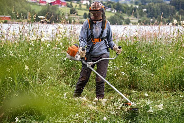 Débroussailleuse à dos FS240/CT - Stihl