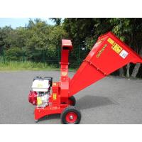 Broyeur de végétaux Scutum GX390 - Del Morino
