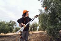 Vibreur à olives Stihl - SPA140