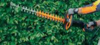 Taille-haies Helion 3 - Pellenc