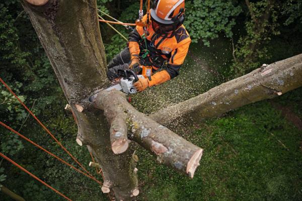 Tronçonneuse à batterie STIHL - MSA 220 T