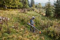 Débroussailleuse à dos FS311/CT - Stihl