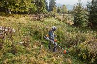 DEBROUSSAILLEUSE A DOS STIHL FS311