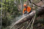Tronçonneuse MS462CM/50 - Stihl