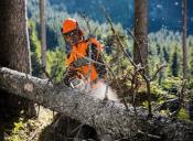 Tronçonneuse MS261CM - Stihl