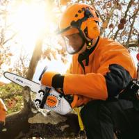 TRONCONNEUSE ELAGUEUSE STIHL MS151TCE