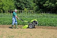 MOTOCULTEUR GRILLO FRAISE ARRIERE G85D